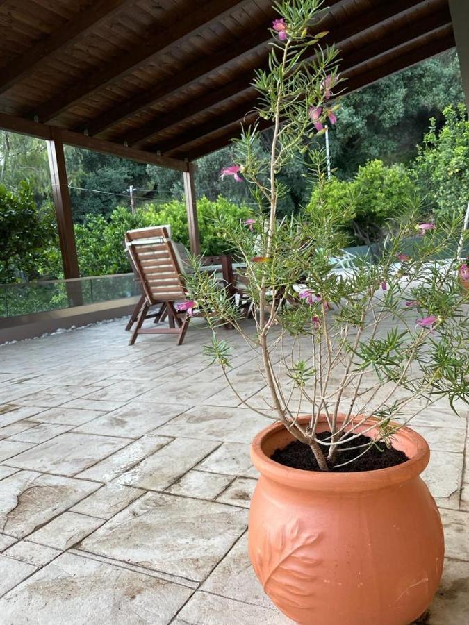 Pura Vida Villa Rodhákinon Dış mekan fotoğraf